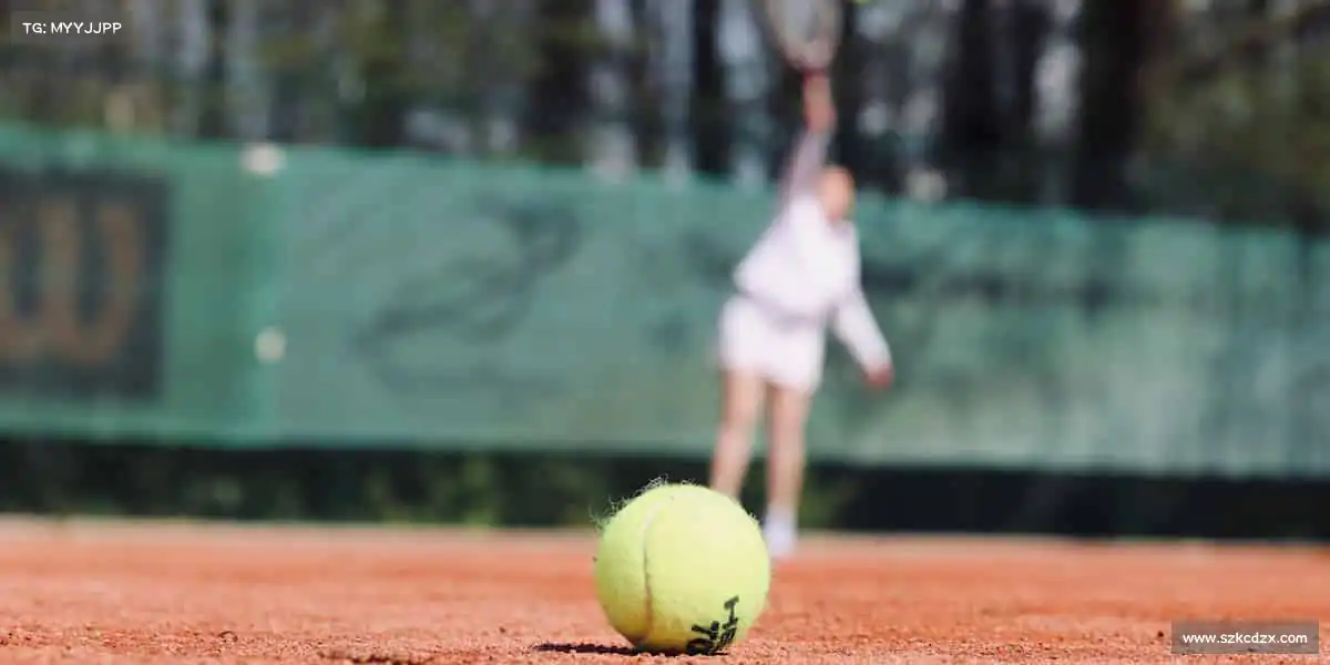 壹号娱乐——🏄♀️🌊浪尖起舞,勇者无惧!